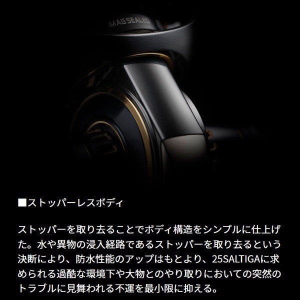 25ソルティガ